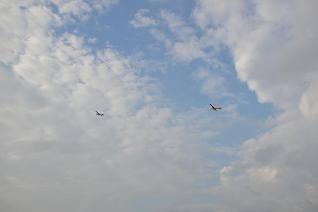 DSC 0768
