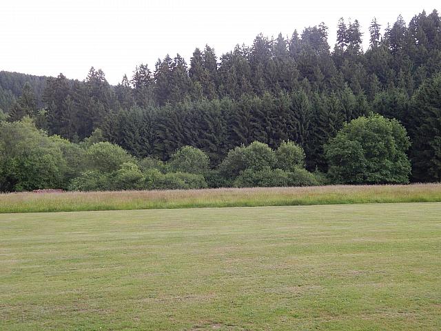 DSCN0230