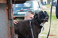 DSC 0080