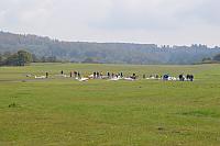 DSC 0959