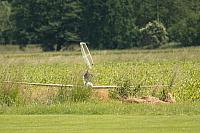IMG-20230525-WA0000