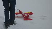 IMG 0451